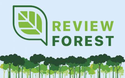 Review_Forest_Beitragsbid